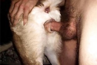 Porn animal pussy Cute submissive