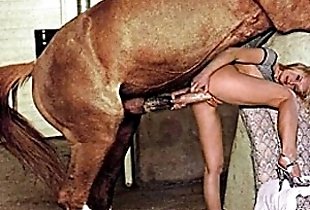 Horse dick tearing off her wet cunt
