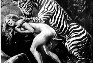 Insane sex game with a zebra