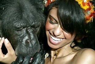 Cute brunette with a huge gorilla
